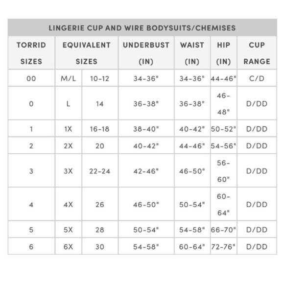 TORRID NWT UNDERWIRE BODYSUIT - LACE & MESH VIOLET - Picture 8 of 8